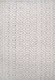 Dynamic Rugs ALLEGRA 2987-109 Ivory and Silver